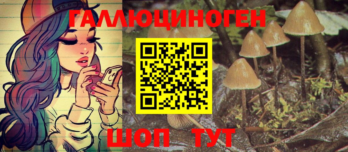 Псилоцибиновые грибы Psilocybine cubensis  Жигулёвск  где купить   Псилоцибиновые грибы мицелий 