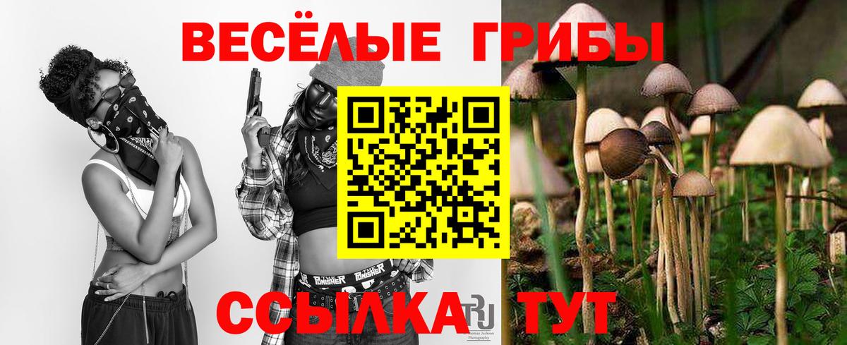 Галлюциногенные грибы GOLDEN TEACHER Жигулёвск