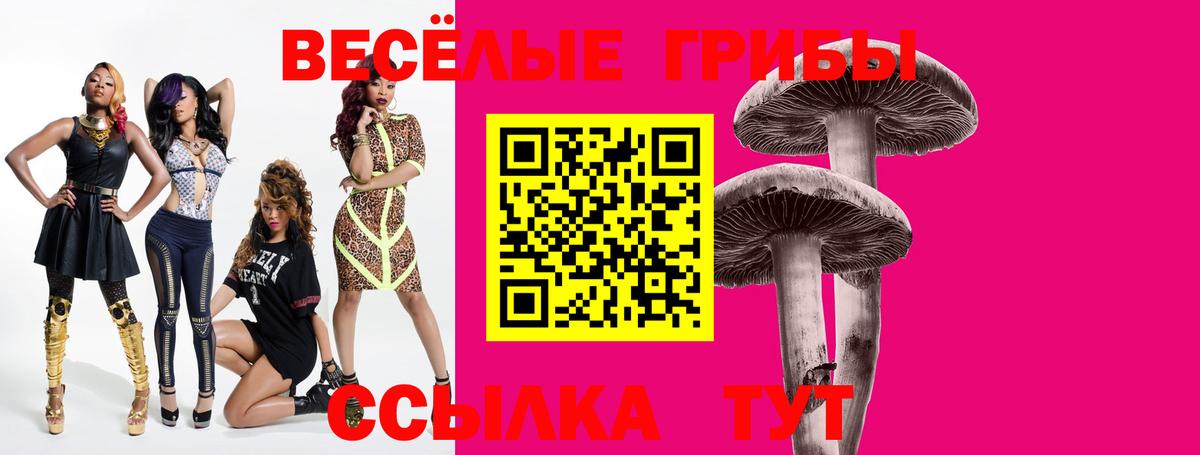 Жигулёвск  Псилоцибиновые грибы GOLDEN TEACHER  Вход с VPN 